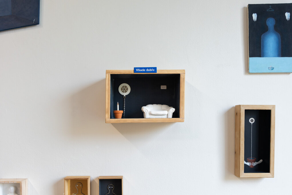 TIMO: My Roots Are in a Pot